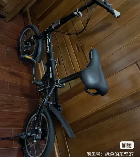 飞利浦自行车带双碟刹，原价599元，现在割...