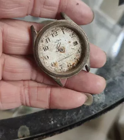 日本回流手表，SEIKO精工旗下ALBA雅...