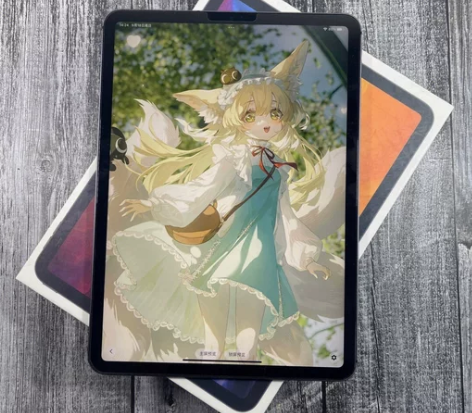 自用 iPad2020款 128g 10....