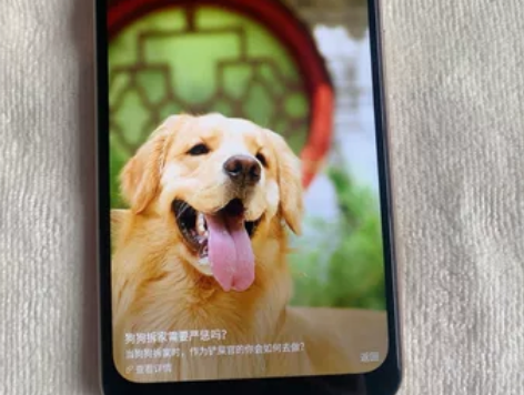 海信F29 全面屏 配置4+64功能全正常...