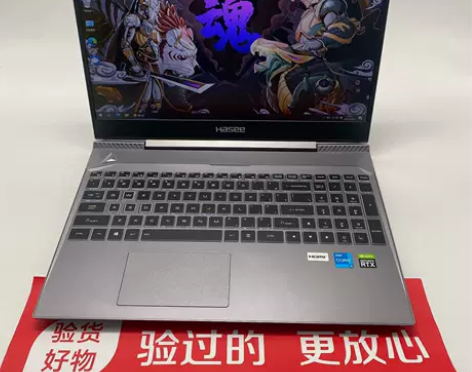 95新Hasee/神舟战神S7 i5-11...