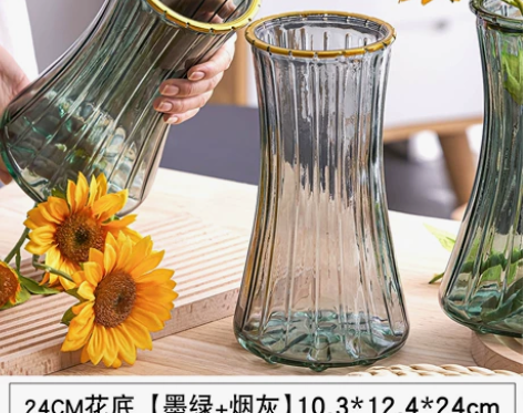 【买一送一】透明玻璃花瓶插花水培植物花瓶 ...