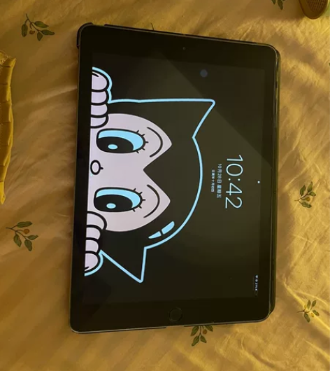 ipad 2018 128g 第六代 自用...