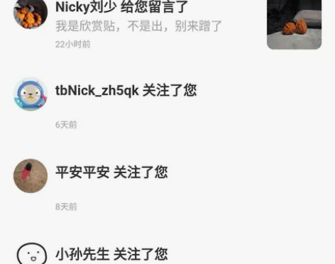 Nicky刘伟~欣赏不出 文玩核桃签收不退...