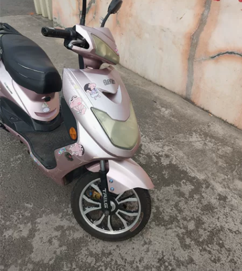 台铃电动车,电机锁 安全帽 充电器 有证件...
