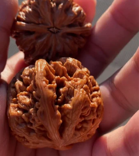 麻核桃：41大粗筋狮子头，有修。 想要带价...