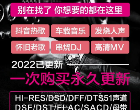 车载音乐dsd无损音源母带hires mp...