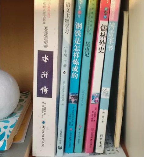 6本书,水浒传,钢铁是怎样炼成的,昆虫记,...