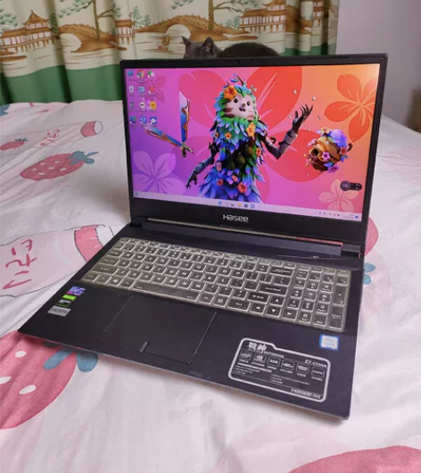 神舟战神Z7 九代i5四核 1660ti独...