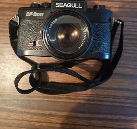 SEAGULL海鸥相机DF-2ETM，机器...