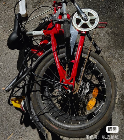 菲利普自行车，入手将近八百，买来上下班用的...