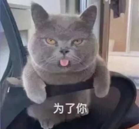 接JAVA项目开发，Python项目开发，...