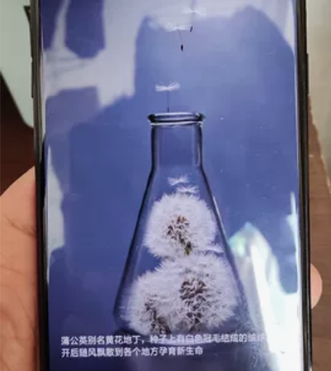 OPPO R11 Pluskt 6G+64...