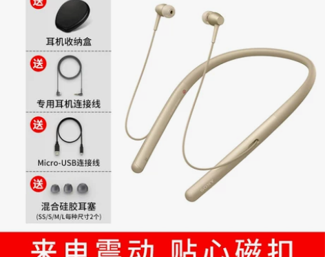 【吾折天价】Sony/索尼WI-H700无...