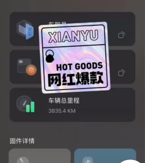 可置换 可出 九号ee80c 东西都在 五...