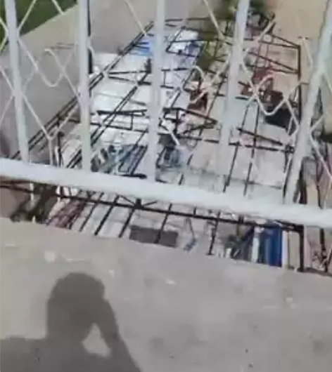 急卖!急卖!急卖!出售马杰斯特,大绵羊大踏...