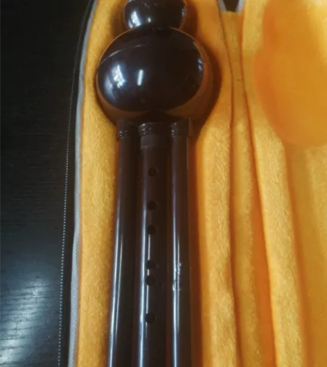 葫芦丝，给孩子音乐课用的，买错了。 感兴趣...