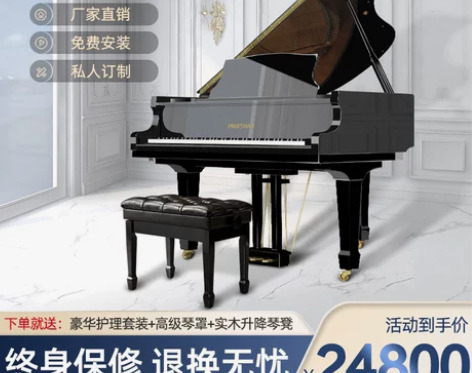 普鲁斯纳全新三角钢琴 日本品牌 家用专业演...