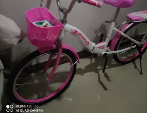 凤凰折叠自行车22寸，九新 感兴趣的话点“...