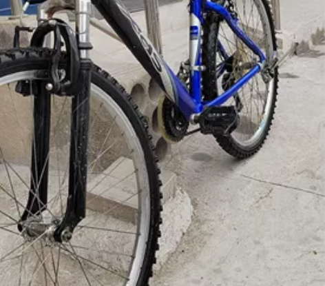 喜德盛自行车，车况好，正常骑行。因买了摩托...