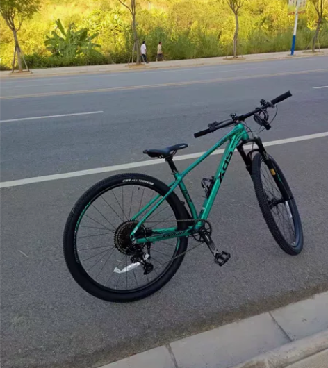 出一辆喜德盛侠客800pro山地车，实物很...