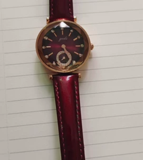 歌迪牌女士手表，没用几次，9.8新 感兴趣...
