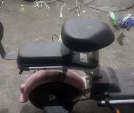 台铃电动车 99新买了1550 有头盔8月...