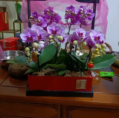 （亏本处理）幸福喜提花篮节日送礼花篮节庆新...