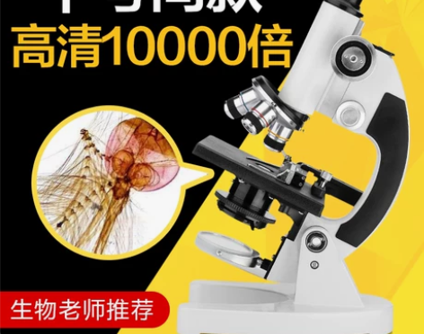 other/其他 科学实验 孩子上小学的时...