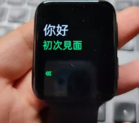 【JD直发】OPPO Watch 2 42...