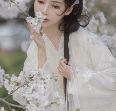 【出】大全套（交领内衬裙+交领纱裙+大袖衫...