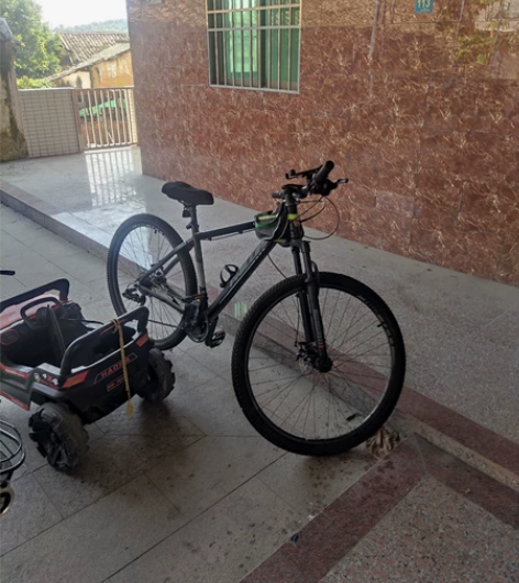 菲利普山地自行车 30速 29英寸  买来...