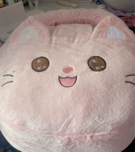 入手渠道：公司奖励 使用情况：全新未使用产...