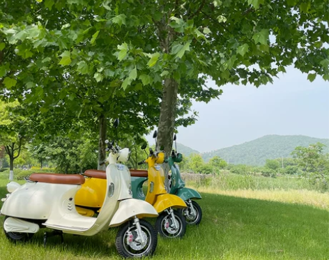 摩托车 摩托车罗马假日电动车vespa网红...