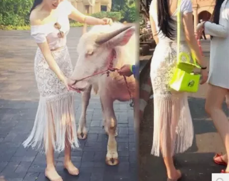 左岸潇同款蕾丝刺绣流苏中裙白色度假半身裙泰...