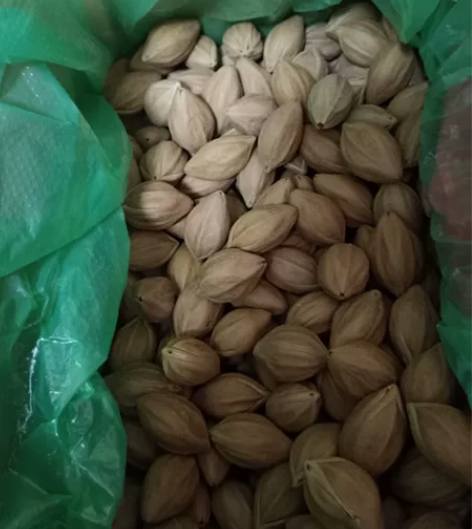 榄核三毛1.89~.....12个98元,...