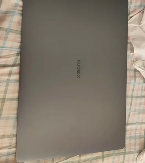 小米笔记本Pro15增强版i5MX450独...