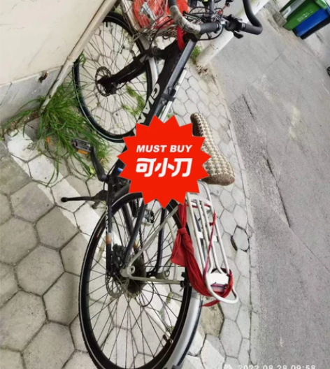 捷安特 蝴蝶把自行车  85新没怎么骑  ...