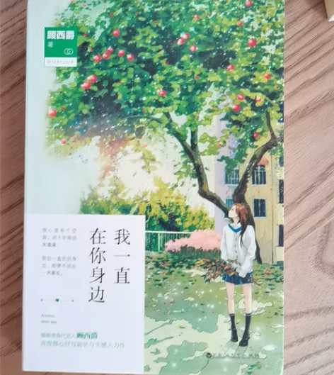 顾西爵-前世今生感人力作 说明:由于储存时...