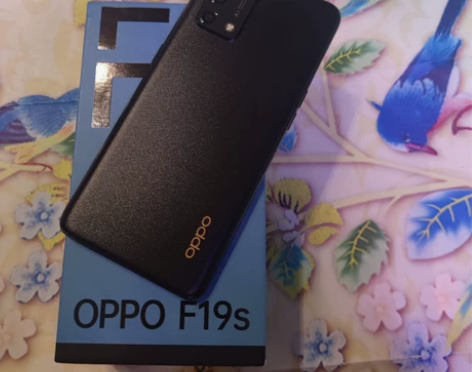 OPPO F19s 型号是CPH2223 ...