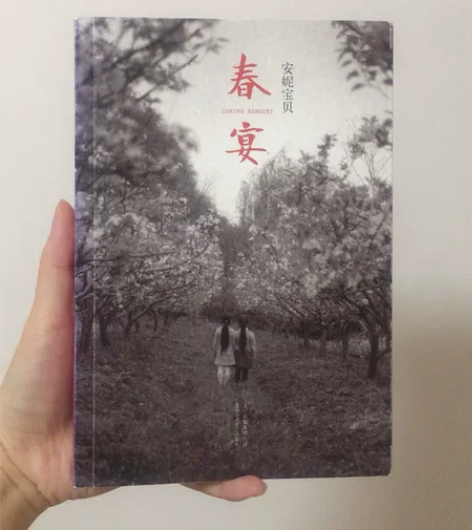 春宴 书 小说 安妮宝贝 九新 北京十月文...