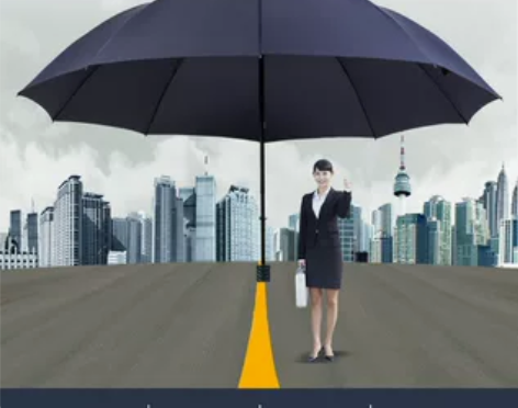 雨伞大容量易收纳手动男生高颜值家用外出大骨...