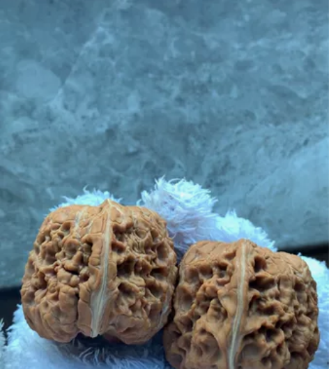 【全品44边肚同尺门墩狮子头】112 [1...