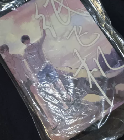 耽美小说 青春文学 纸飞机 谭石著 全两册...