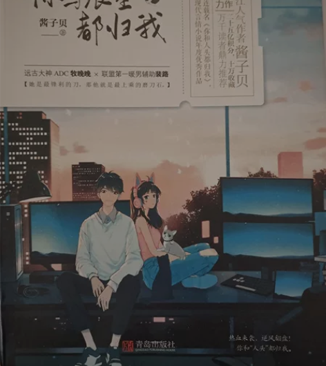 全新仅拆塑封，共上下两册晋江青春文学，电竞...