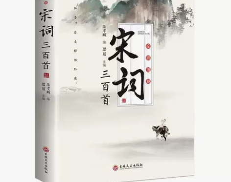 彩图 宋词三百首 古诗词鉴赏中小学生课外读...