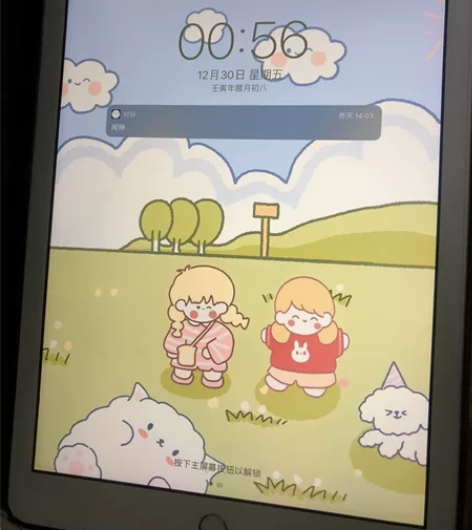 个人自用iPad第五代，自用！！！！闲置平...