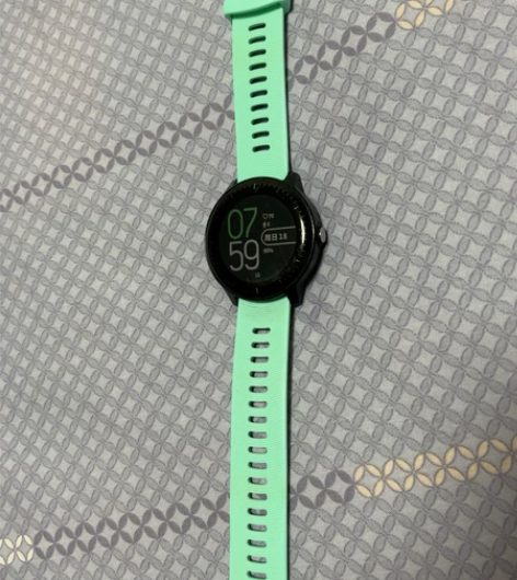 佳明（GARMIN）时尚手表 VA3 黑色音乐版智能手表...