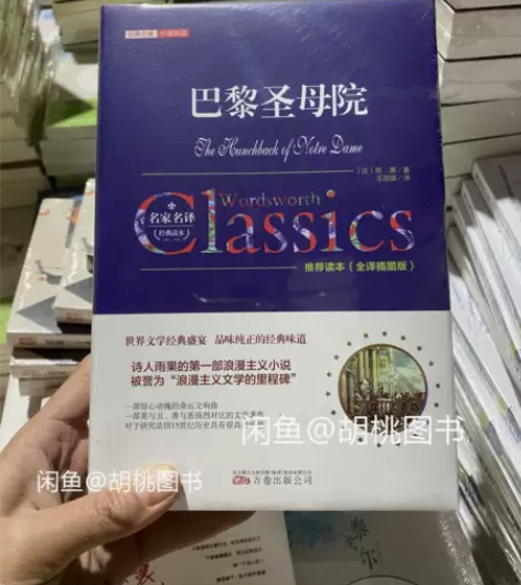 巴黎圣母院(全译插图版)(精)/经典名著价...