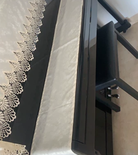 孩子太小了，钢琴的使用次数很少，9.5成新...